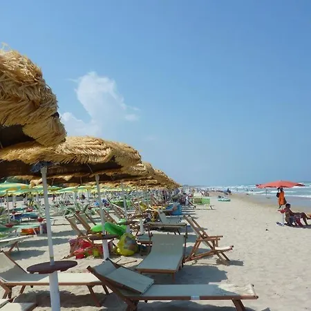 Apartment Trilussa 1 -